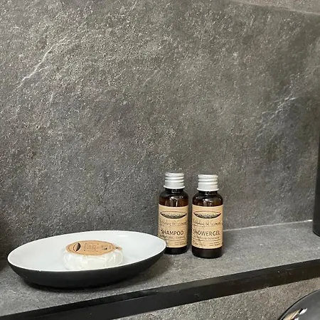 Luxury Dorobanti Appartement